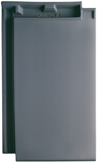 Šedá engoba - main