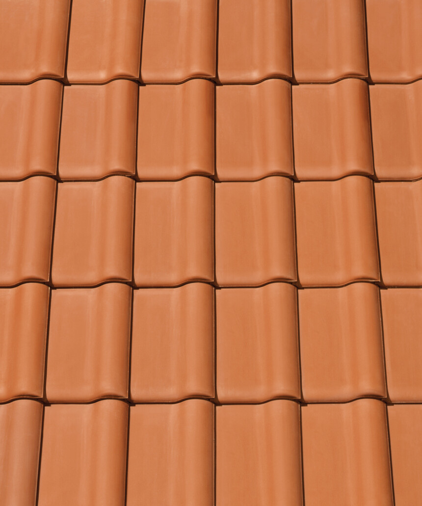 Přírodní červená přírodní – laying