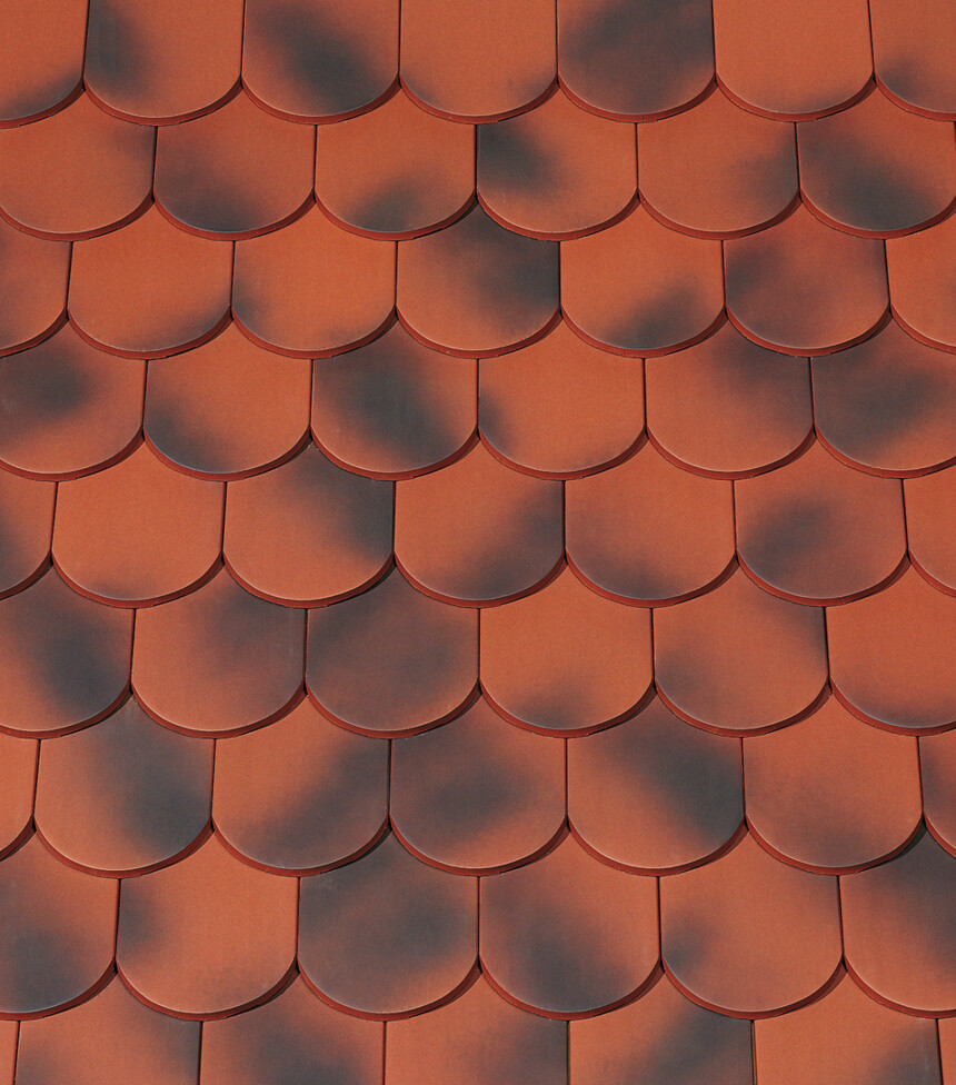 Starošedá  engoba – laying